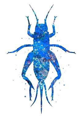 Grasshopper animal blue