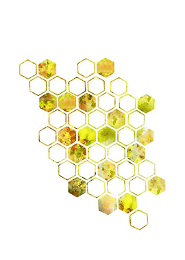 Honeycomb