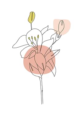 Flower line art poster