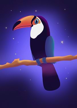 Toucan