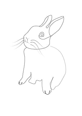 Rabbit one line art