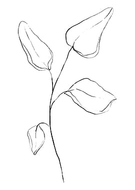 Four Leaf Not Clover