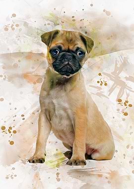 Pug Art