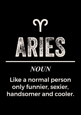 Aries Definition Apparel F