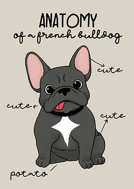 Anatomy of a Bulldog