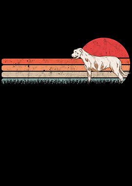 Irish Wolfhound Vintage