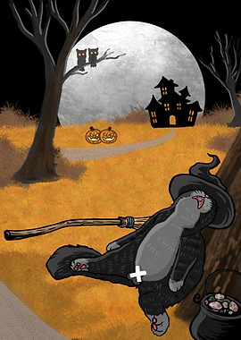 halloween Witch Cat