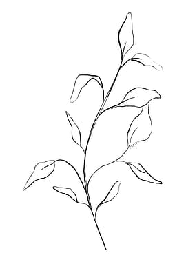 Looking Over The Fence