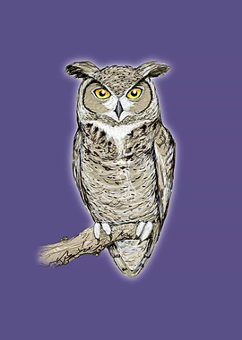 Great horned owl