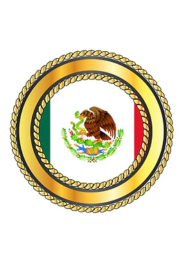 Mexico Rope Bound Flag