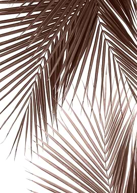 Tropical Palm Leaves 1