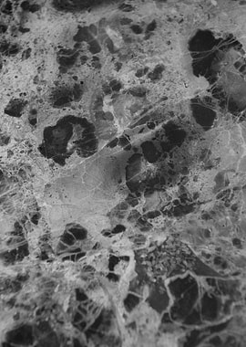 Gray Black Marble Delicado