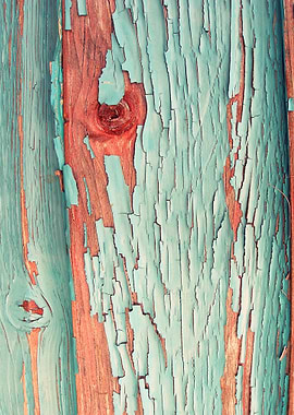 Old Wood 08