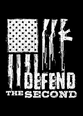 Defend The 2nd Amendment P