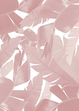 Banana Palm Leaves Jungle