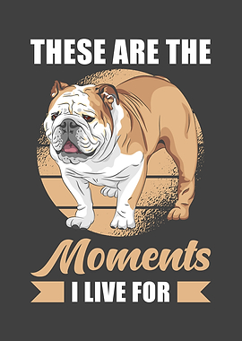 Bulldog Saying Dog Funny