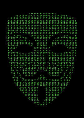 Anonymous Hacker