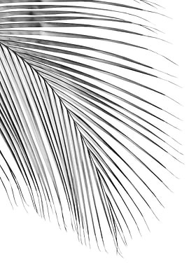 Minimal Silver Gray Palm 1