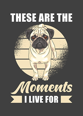 Pug Saying Dog Pug Live