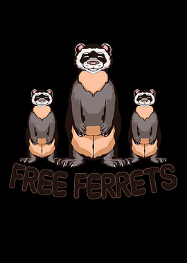 Free ferrets