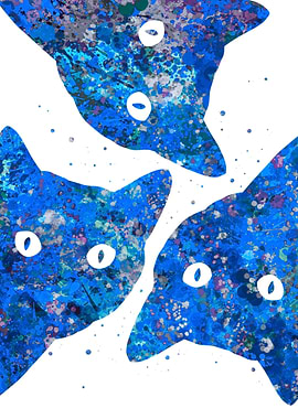 Cat peeking blue art