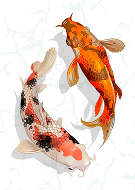Koi Artwork