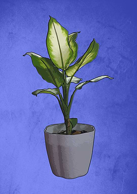 Potted green plant