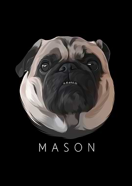 Mason 3