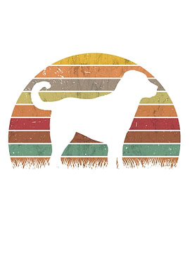 Kangal Vintage Shepherd