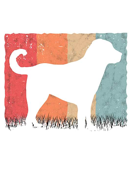 Kangal Vintage Anatolian