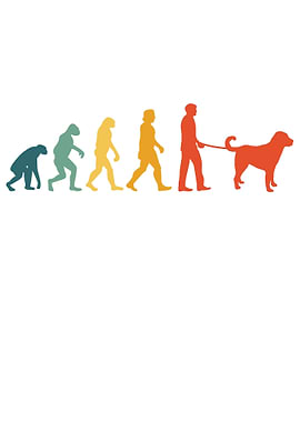 Kangal Evolution Vintage