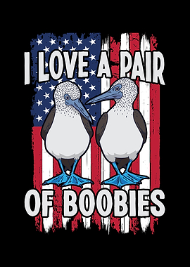 Blue Footed Booby Bird