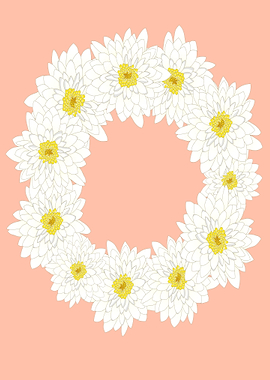 chrysanthemum flowers