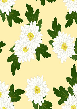 white chrysanthemum ivory