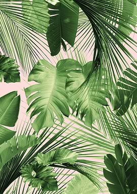 Jungle Day Leaves Siesta 2