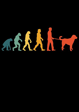 Kangal Evolution Vintage