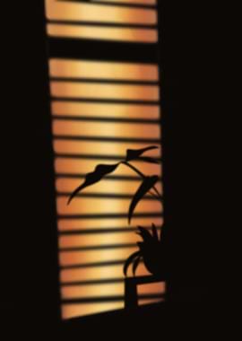 Late Sunday afternoon