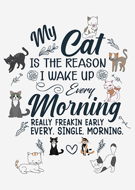 My cat is the reason