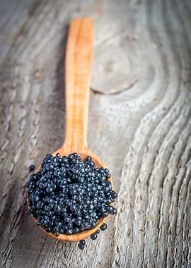 Black caviar