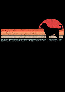 Kangal Vintage Anatolian