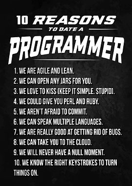 Programmer