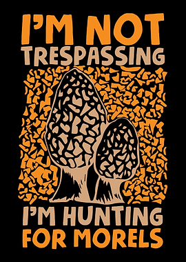 Mushroom Fungi Foraging