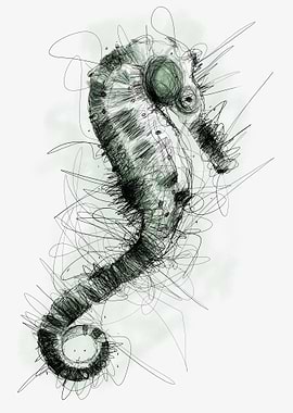 Seahorses