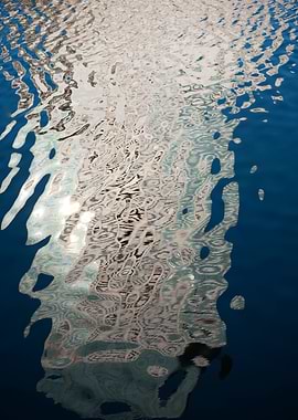 Reflection in water