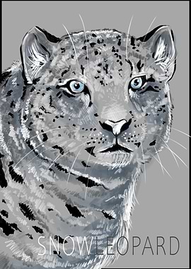 Snow Leopard