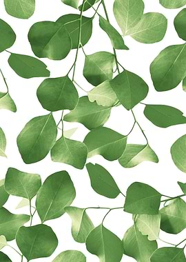 Eucalyptus Pattern 2