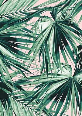 Fan Palm Jungle Dream 1