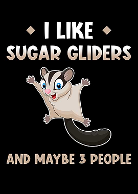 Sugar Glider Cute Animals