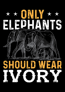 Elephant Animal Welfare