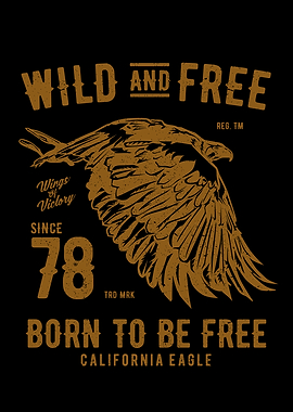 Biker Mechanic Designs